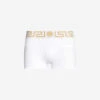 Versace Iconic Stretch-cotton Trunks